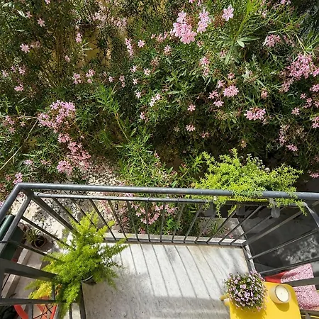 Massimo Secret Garden *